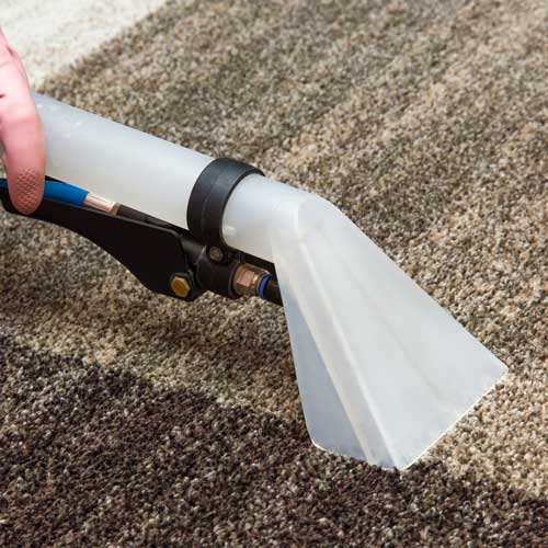 Carpet Cleaning | Great Floors