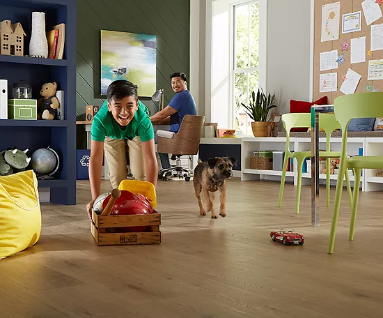 Safeguarding Floors from Pets | Great Floors