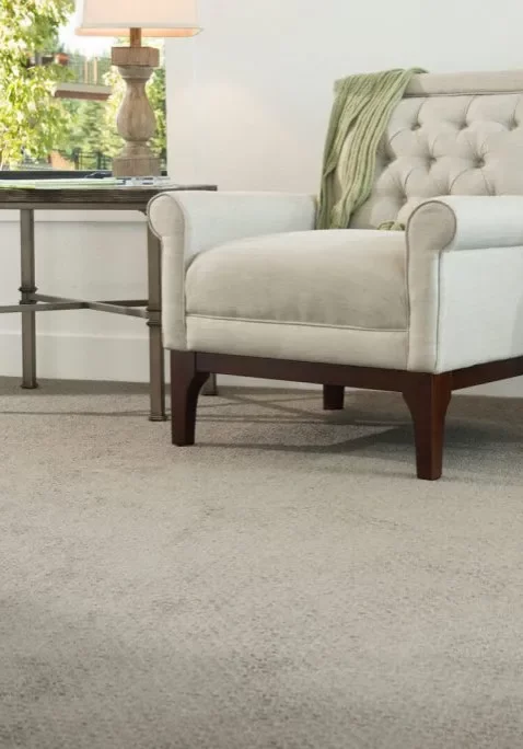 Living room carpet | Great Floors