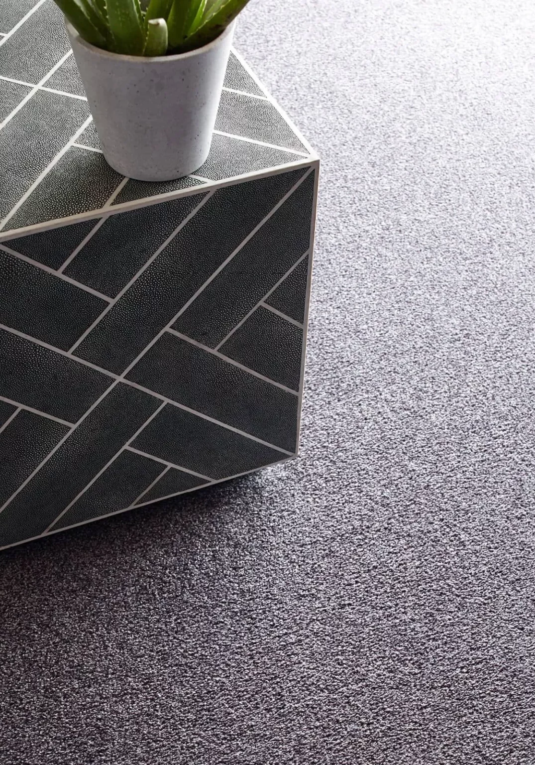 Carpet | Great Floors